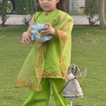 Parrot lvy