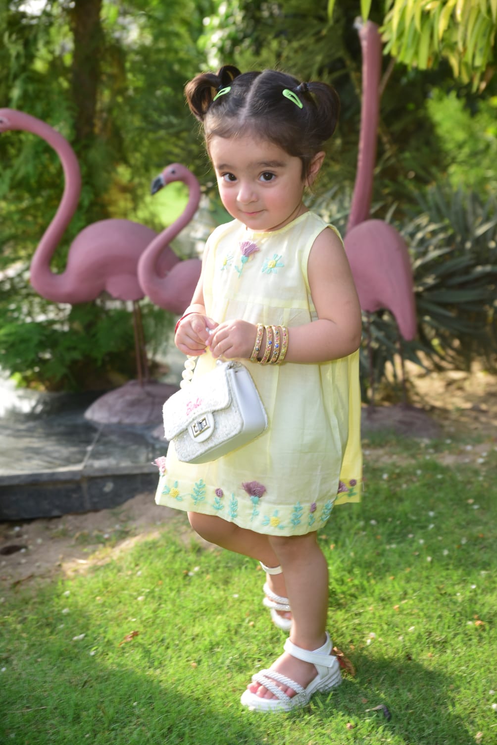 Dhanak